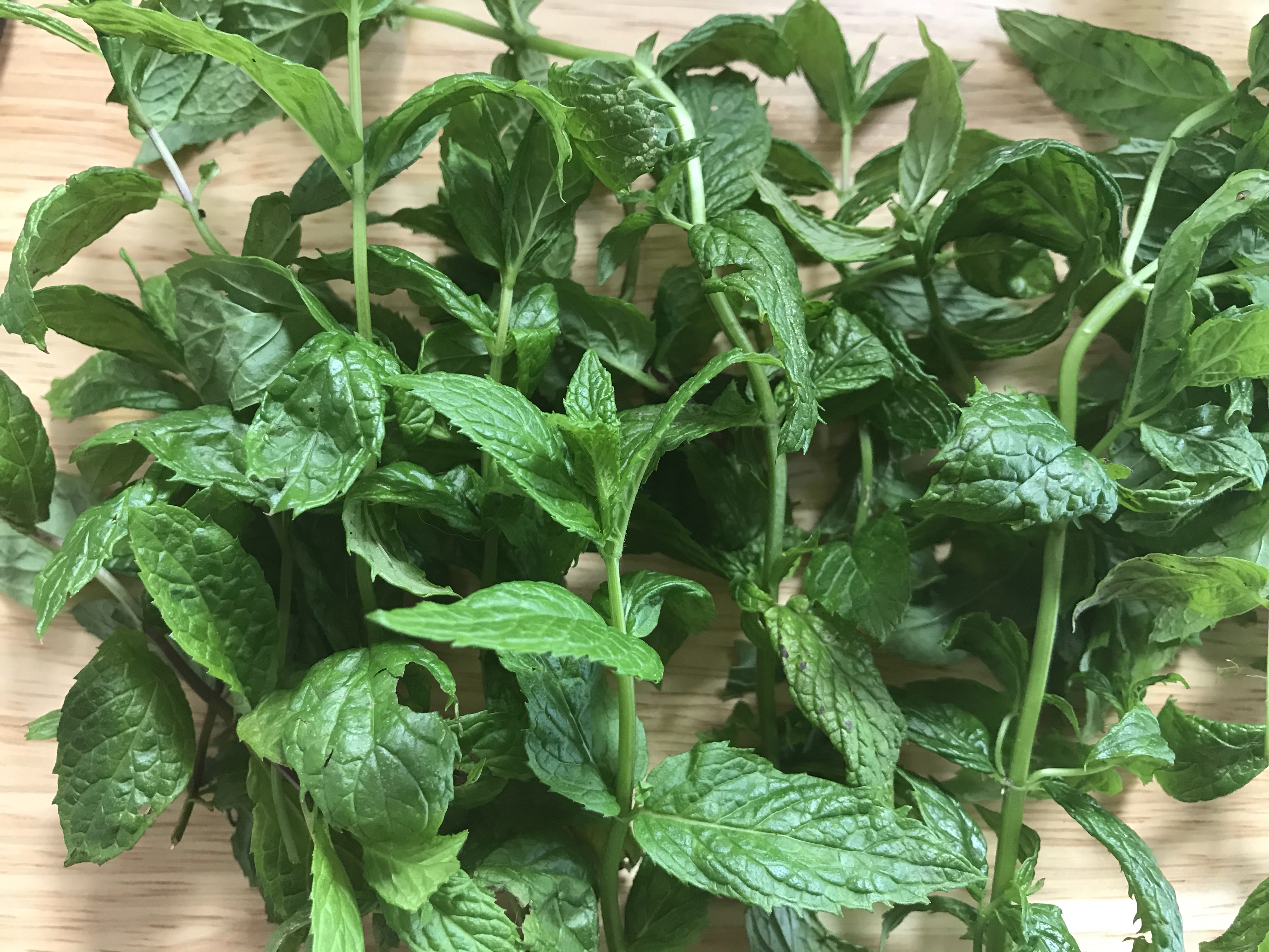 Mint sauce for your Easter lamb