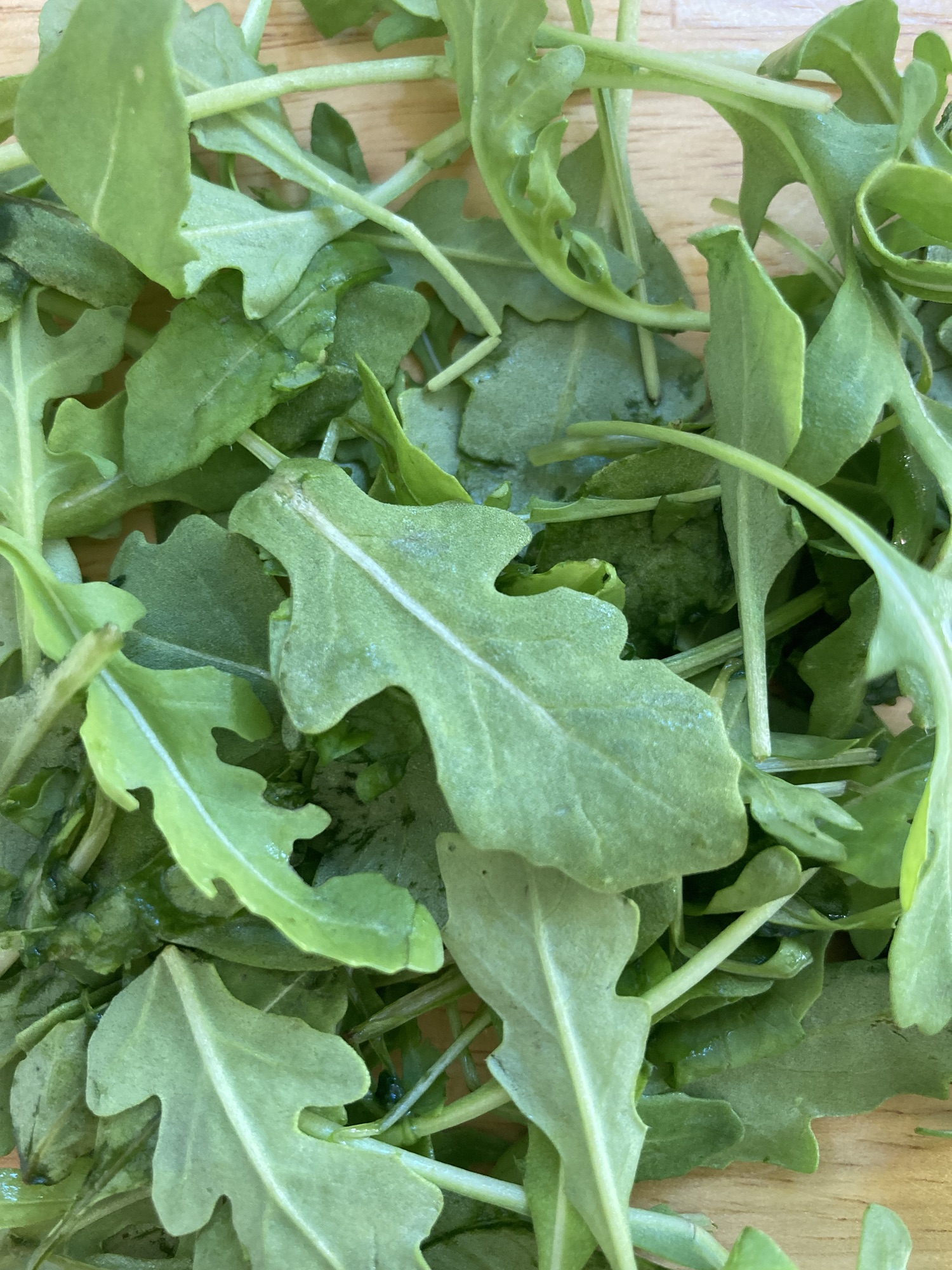 Rocket and basil pesto