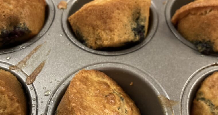 Gluten free lemon, coconut and blueberry muffins